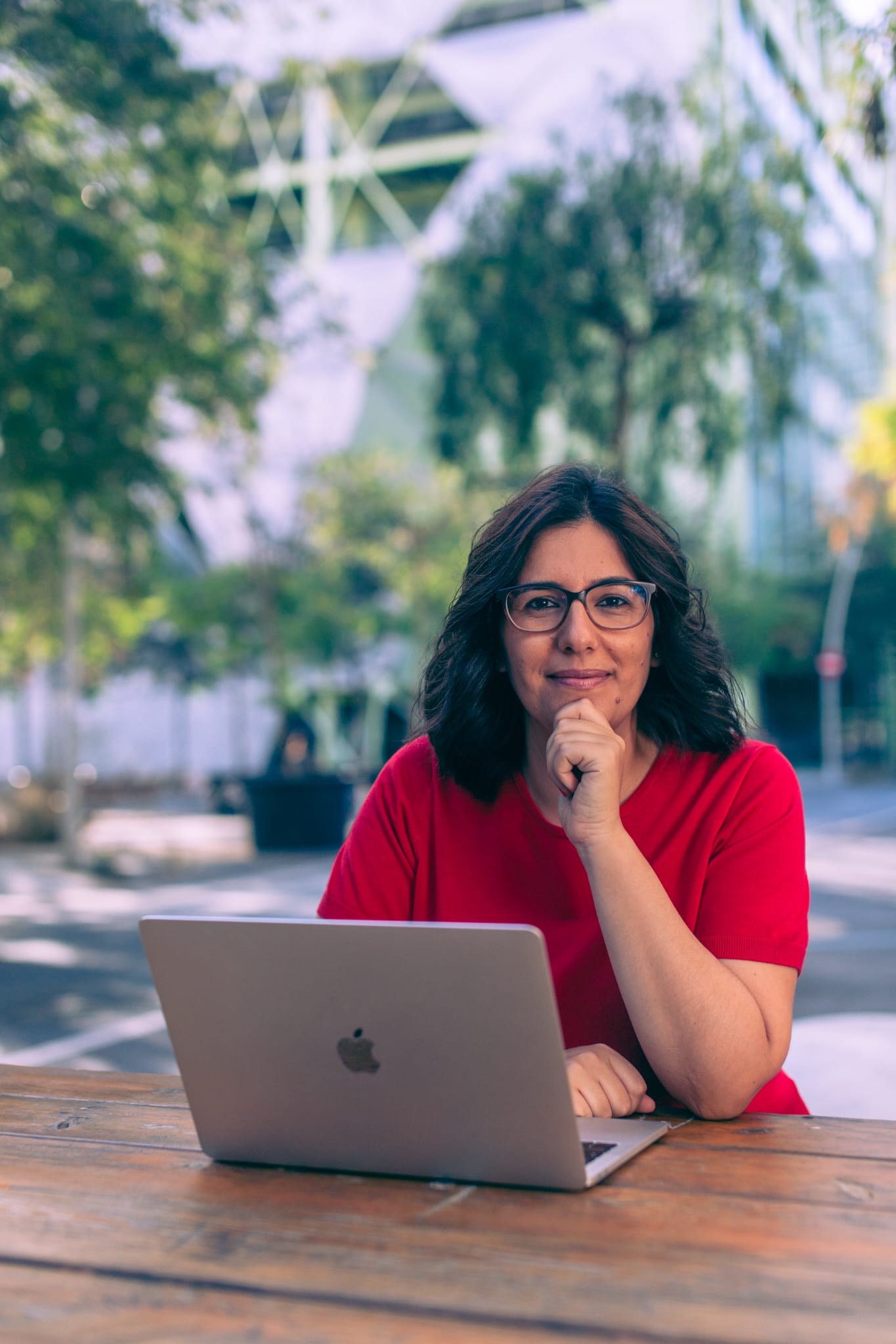 Armenia Barradas L amarilla 2